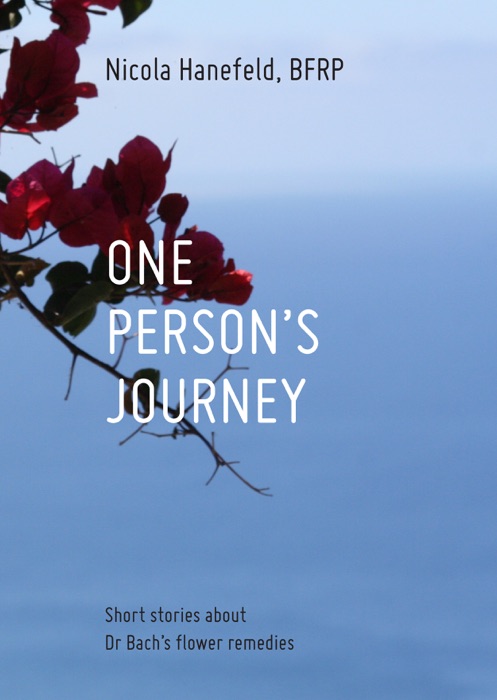 One Person’s Journey