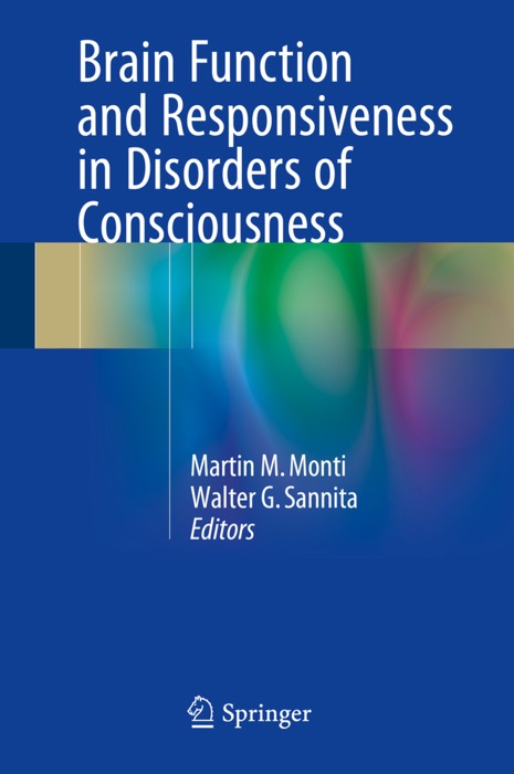 Brain Function and Responsiveness in Disorders of Consciousness