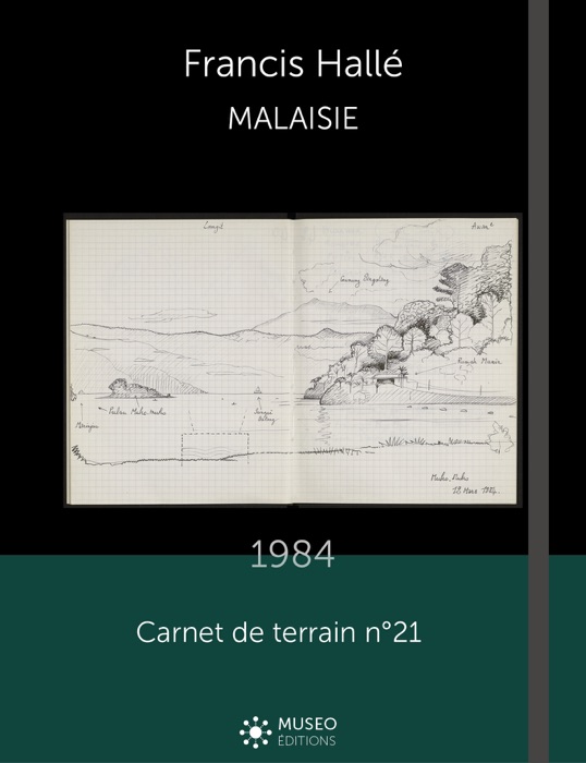 Francis Hallé, Malaisie, 1984, n°21