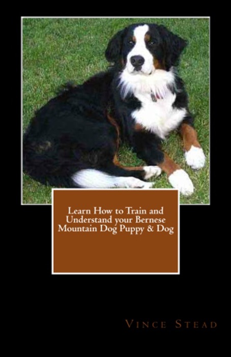 Learn How to Train and Understand your Bernese Mountain Dog Puppy & Dog