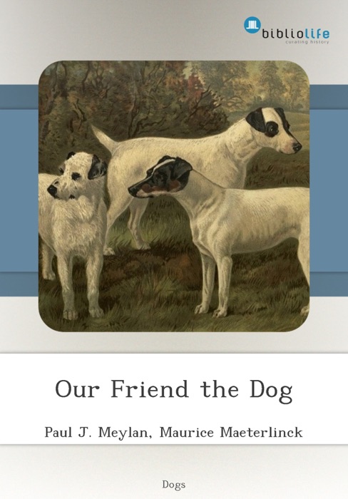 Our Friend the Dog