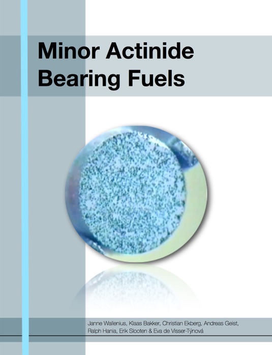 Minor Actinide Bearing Fuels