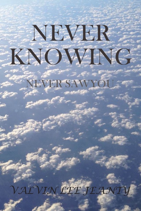 Never Knowing: Never Saw You