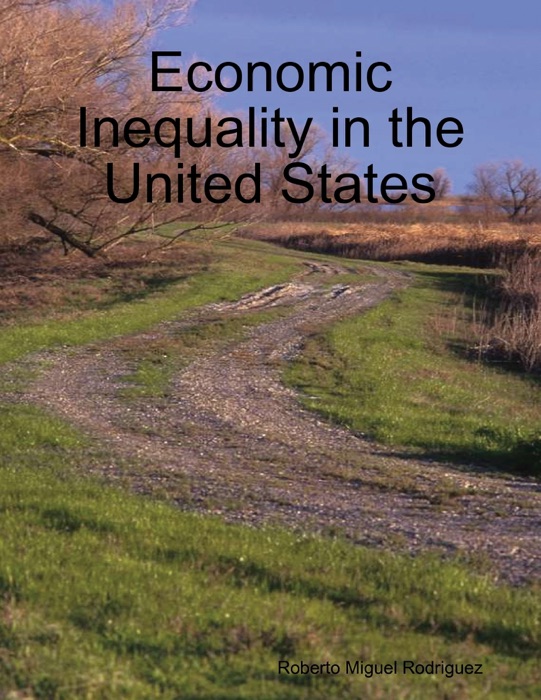 Economic Inequality in the United States