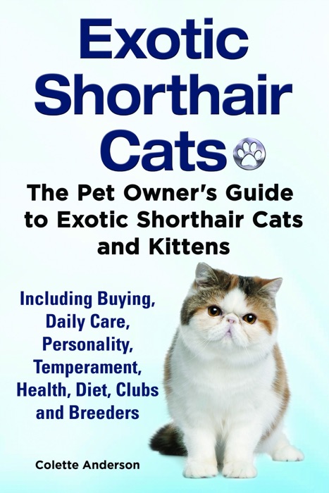 Exotic Shorthair Cats The Pet Owner’s Guide to Exotic Shorthair Cats and Kittens Including Buying, Daily Care, Personality, Temperament, Health, Diet, Clubs and Breeders