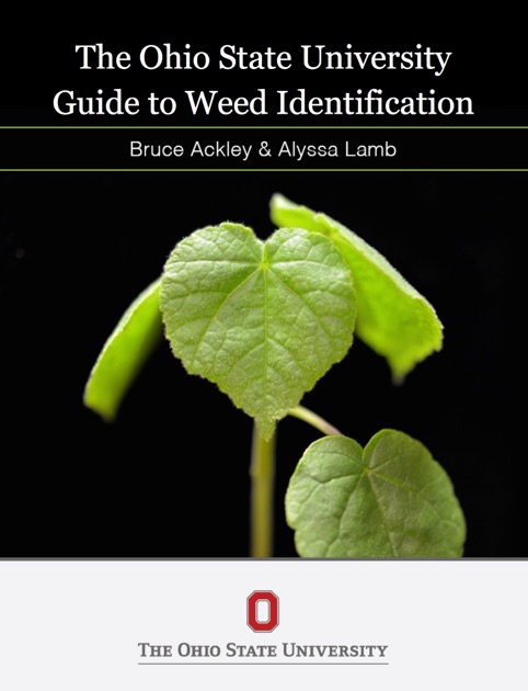 The Ohio State Guide to Weed Identification by Bruce ...
