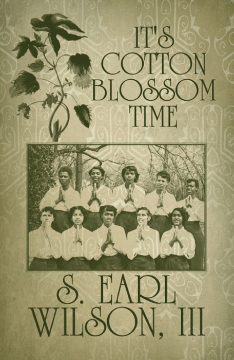 It's Cotton Blossom Time
