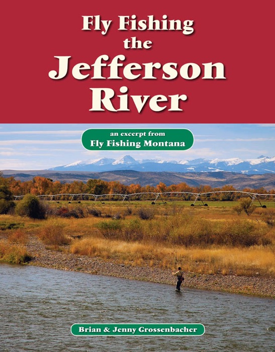 Fly Fishing the Jefferson River