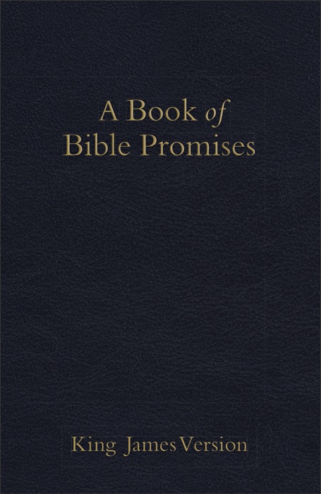 KJV Book of Bible Promises Midnight Blue