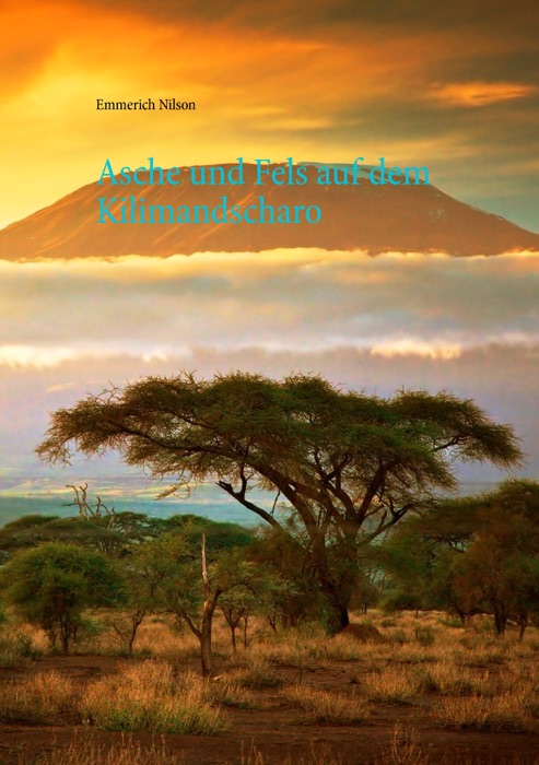 Asche und Fels auf dem Kilimandscharo