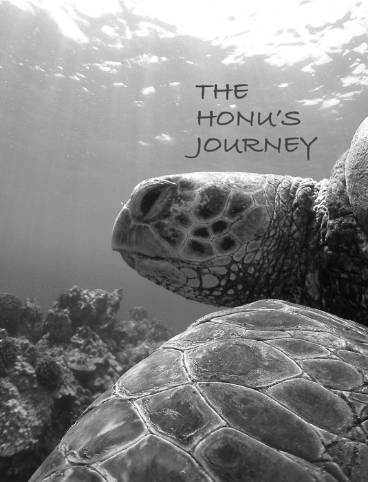 Honu’s Journey