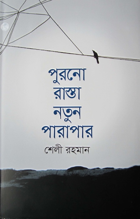 Purano Rasta Notun Parapar