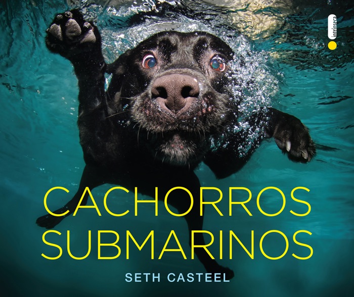 Cachorros Submarinos