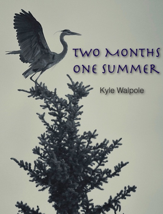 Two Months One Summer