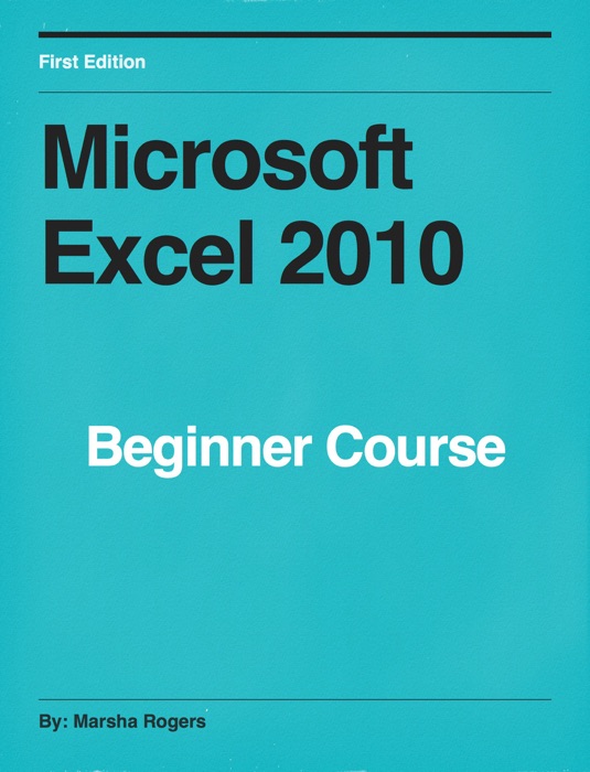 Microsoft Excel 2010