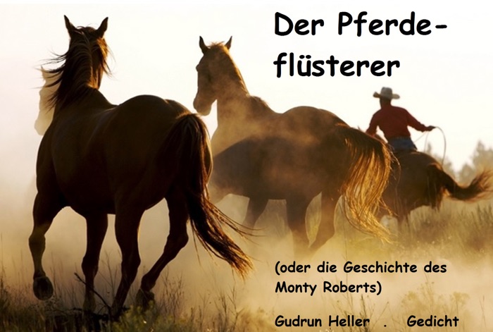 Der Pferdeflüsterer (oder die Geschichte des Monty Roberts)