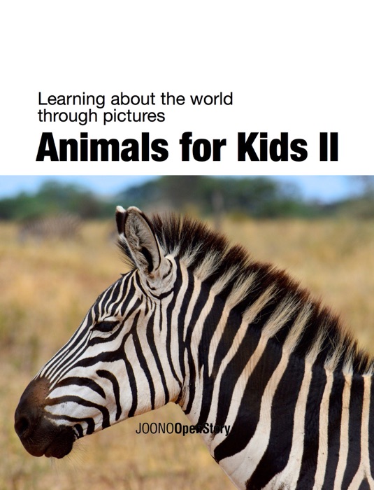 Animals for Kids