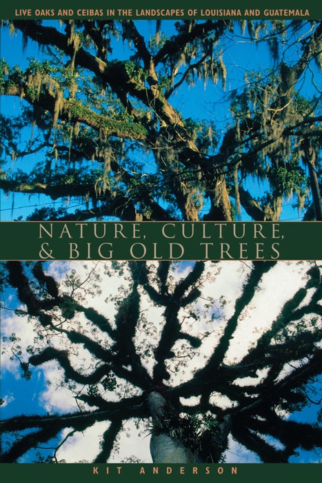 Nature, Culture, and Big Old Trees