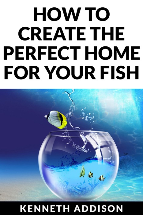 How to Create the Perfect Home for Your Fish