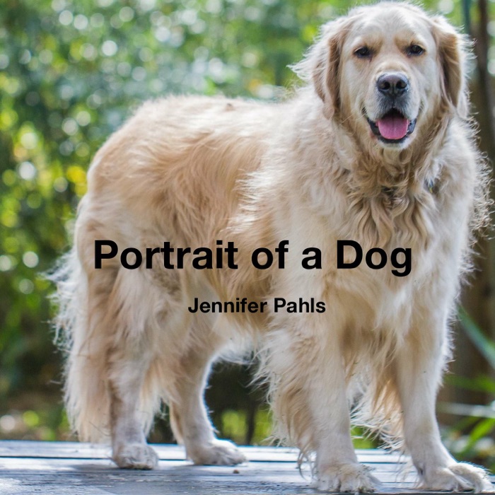 Portrait of a Dog