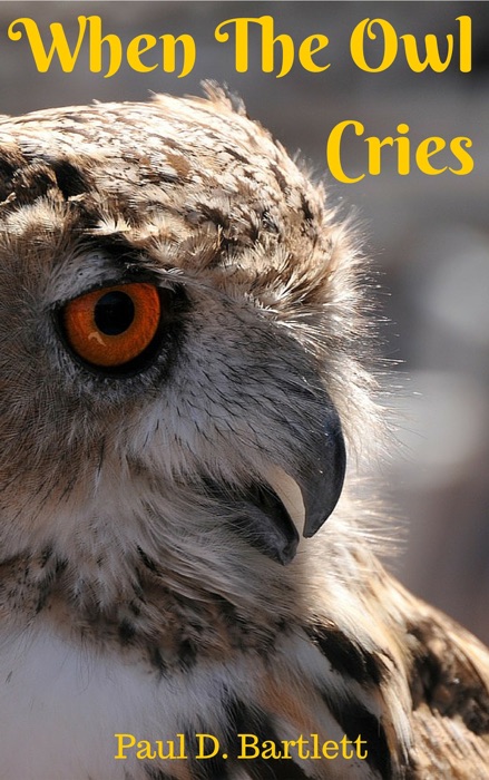 When The Owl Cries