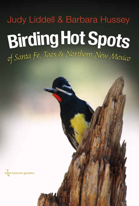 Birding Hot Spots of Santa Fe, Taos, and Northern New Mexico