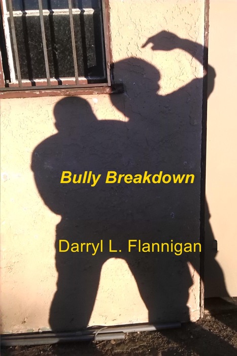 Bully Breakdown