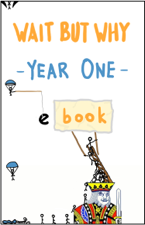 Wait But Why Year One - Tim Urban Cover Art