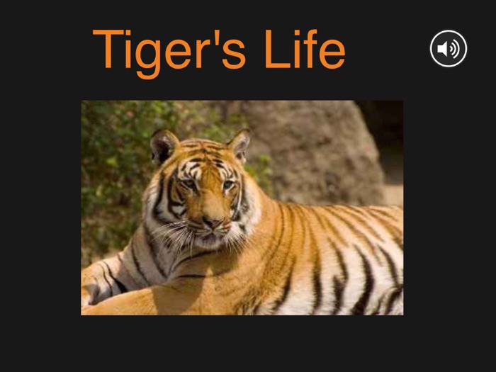 Tiger's Life