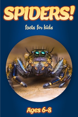Facts About Spiders For Kids 6-8