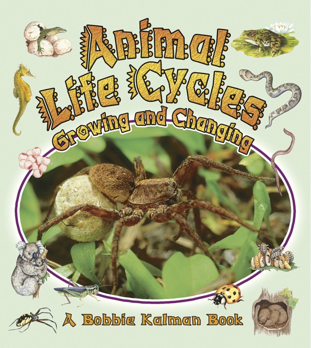 Animal Life Cycles: Growing and Changing