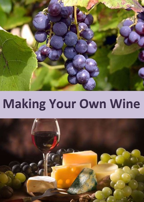 Making Your Own Wine: Perfect Wines and Spirits from Home