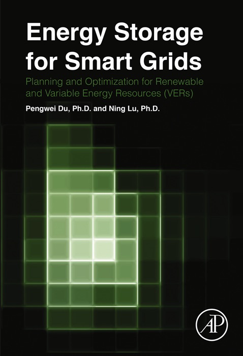 Energy Storage for Smart Grids