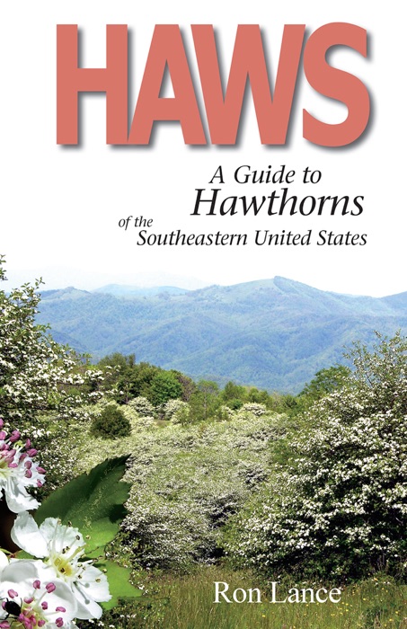 Haws