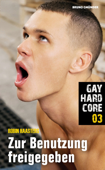 Gay Hardcore 03: Zur Benutzung freigegeben - Robin Haasters