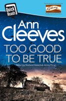 Ann Cleeves - Too Good To Be True artwork