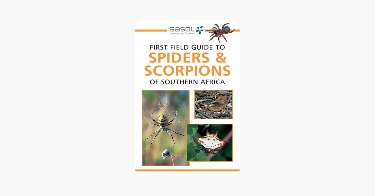 First Field Guide To Spiders Scorpions Of Southern Africa - 