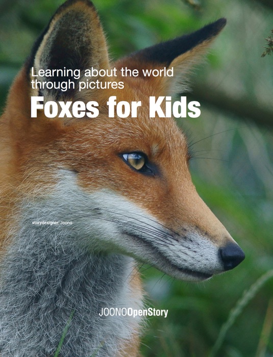 Foxes for Kids