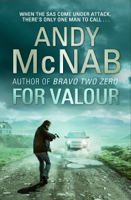 Andy McNab - For Valour artwork