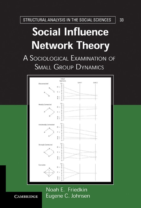 Social Influence Network Theory