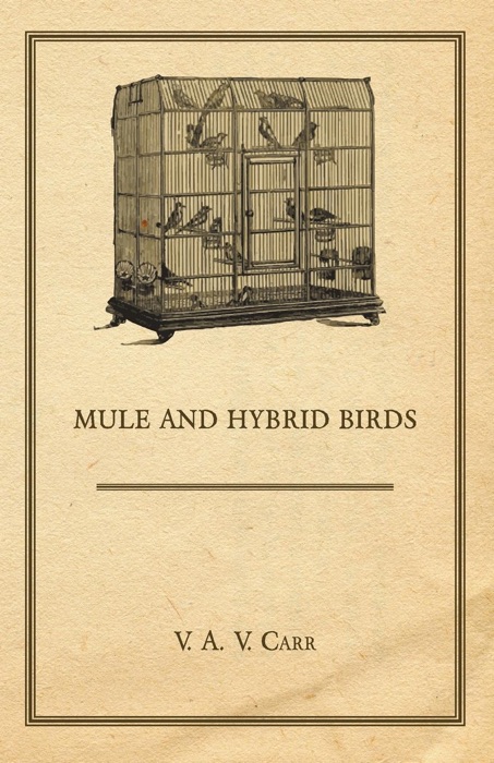 Mule And Hybrid Birds