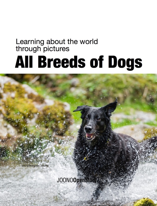 All Breeds of Dogs