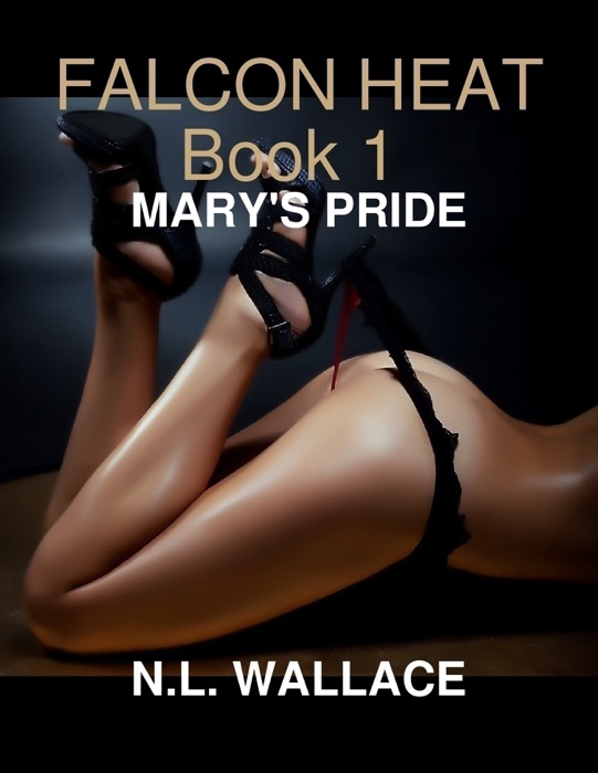 Falcon Heat Book 1 Mary's Pride