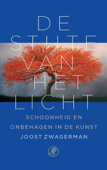 De stilte van het licht - Joost Zwagerman