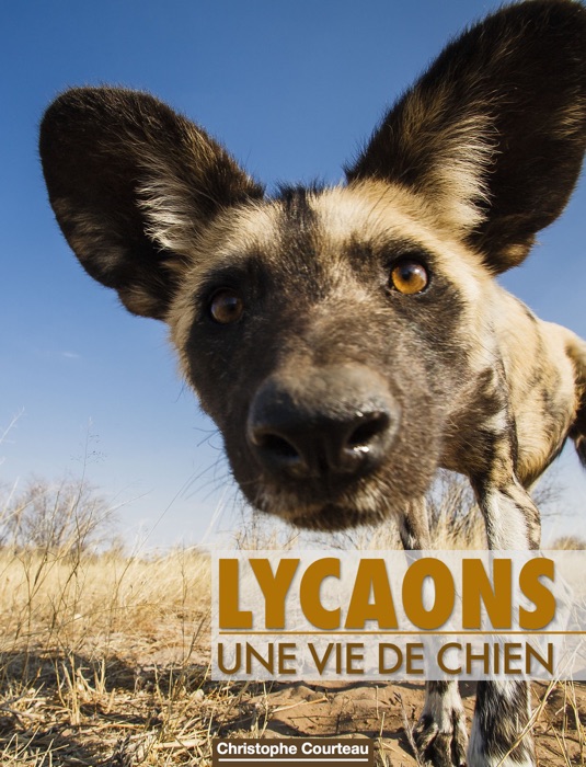 LYCAONS