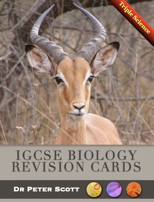 IGCSE Biology Revision Cards