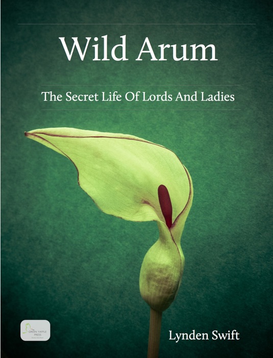 Wild Arum