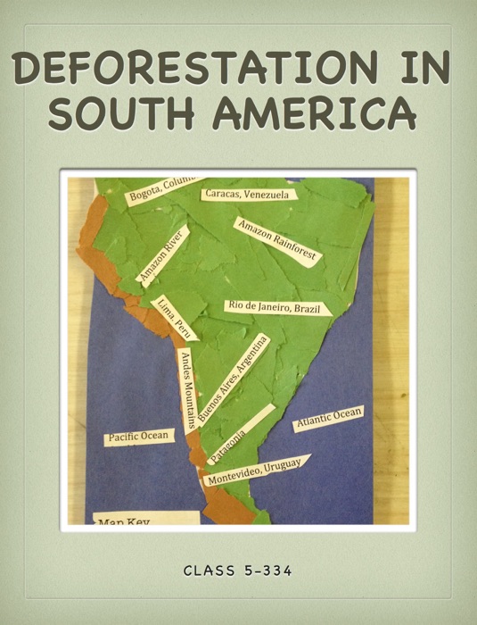 Deforestation in South America