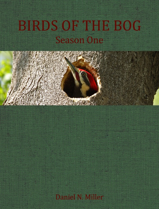 Birds of the Bog