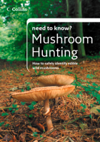 Patrick Harding - Mushroom Hunting artwork